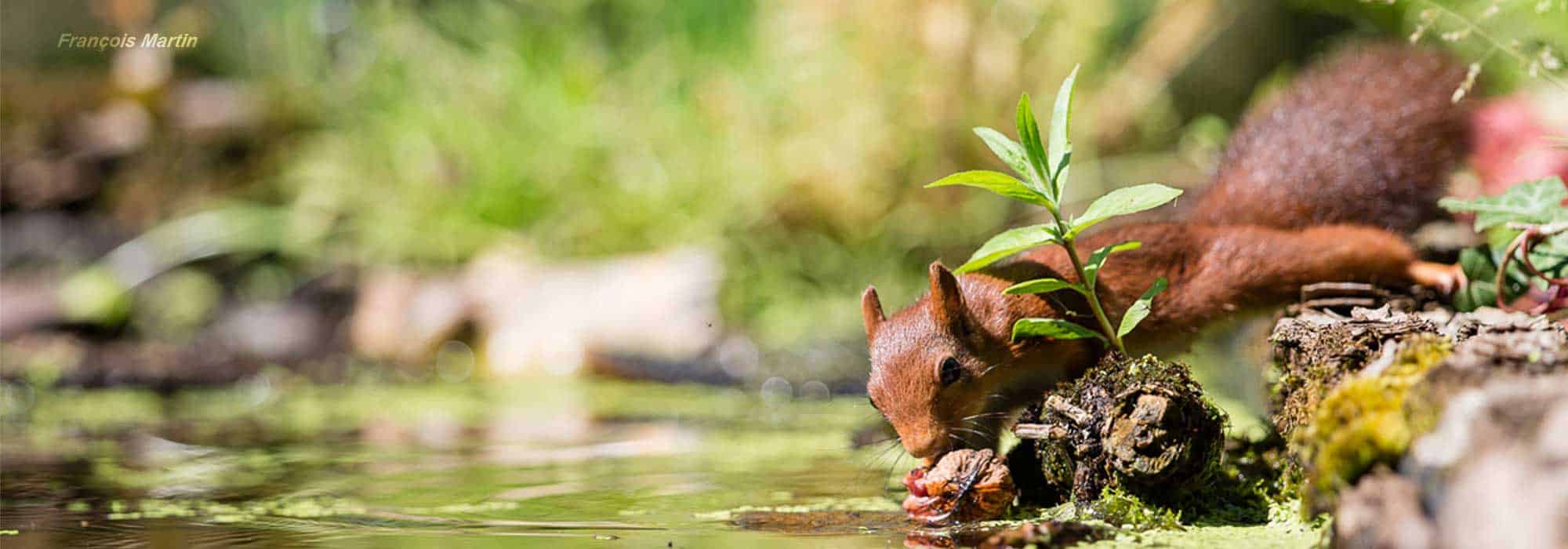 Préserver la ressource en eau potable