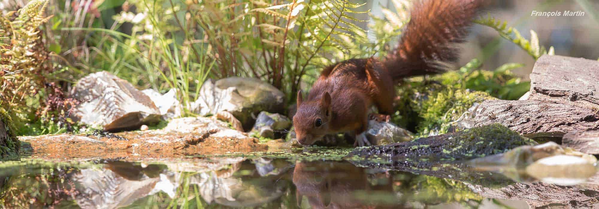 Protéger la ressource en eau