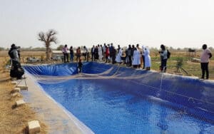 Projet d'aquaculture lancé par la fondation Veolia au Sénégal