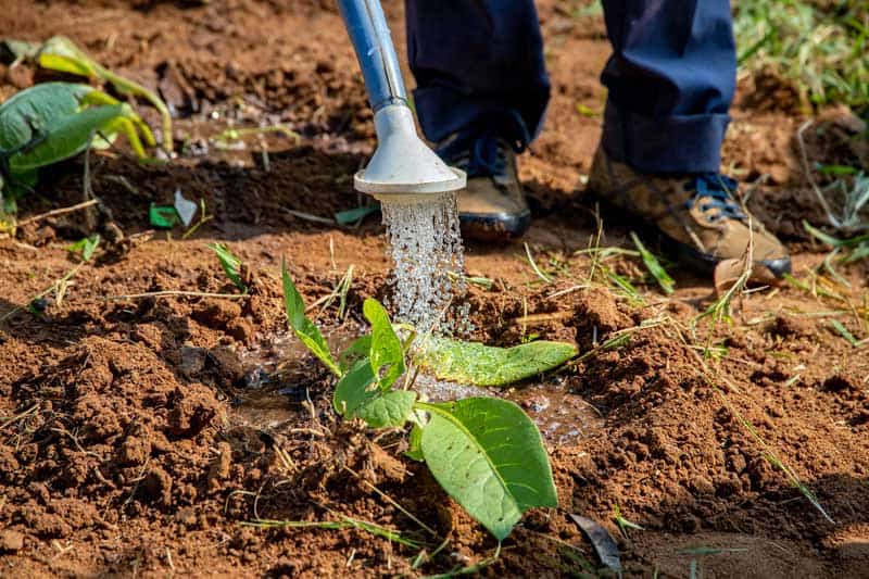 Lire la suite à propos de l’article Action Humanitaire : Aquaponie au Sénégal